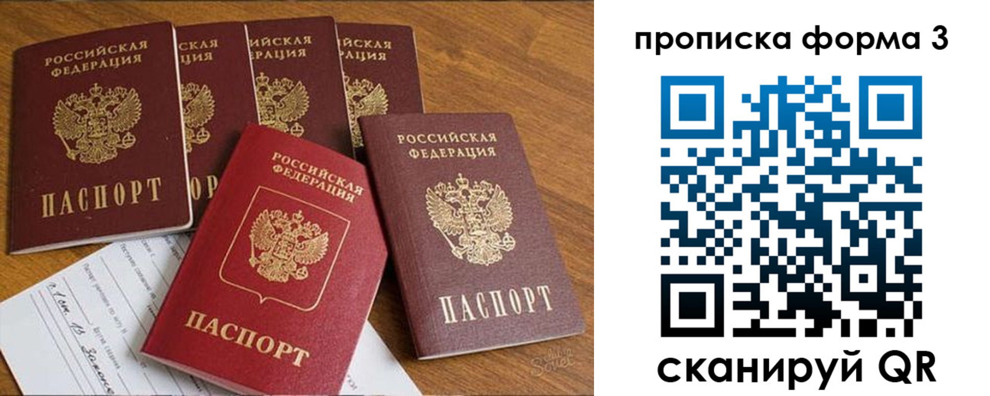 прописка 2025 в Геленджике